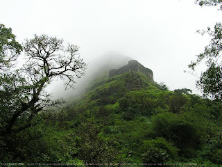 Palakkad