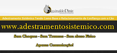  Adestramento Profissional