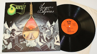 Shaggy "Lessons For Beginnners"1975 ultra rare Swedish Heavy Prog,Hard Rock