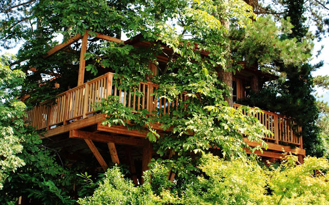 casa sull'albero: Hotel Irma, vicino Merano