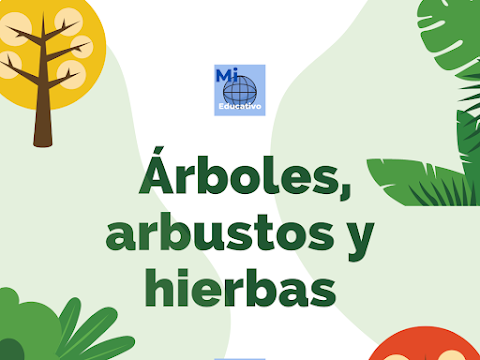 Árboles, arbustos y hierbas