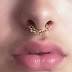 Septum Piercing - Fake, Jewelry, Pain, Price, Healing, Aftercare