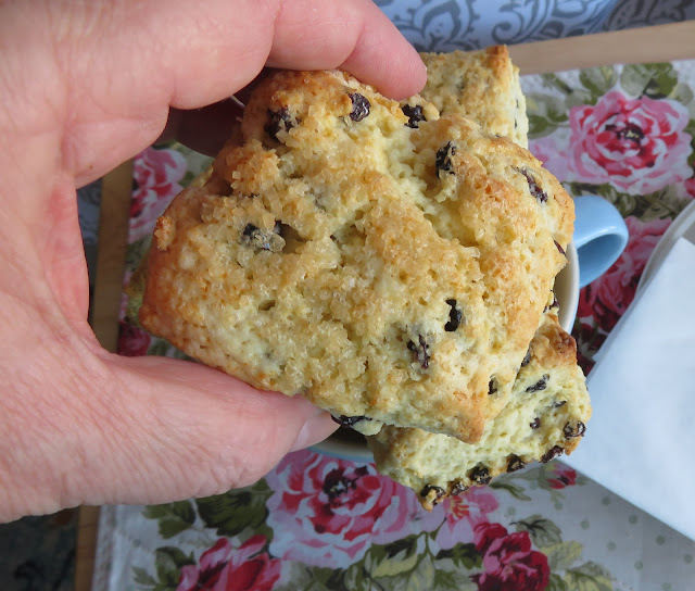 Orange and Currant Cream Scones