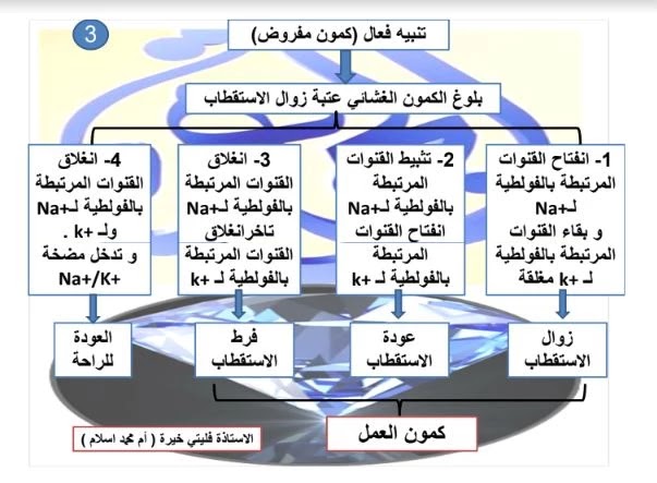 مكتبة الأستاذة فليتي خيرة في علوم الطبيعة الثالثة ثانوي