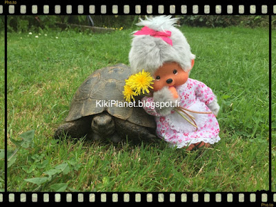 kiki monchhichi tortue 