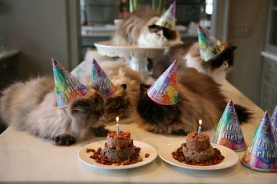 Cats Birthday Parties Seen On lolpicturegallery.blogspot.com