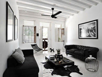 black and white living room ideas