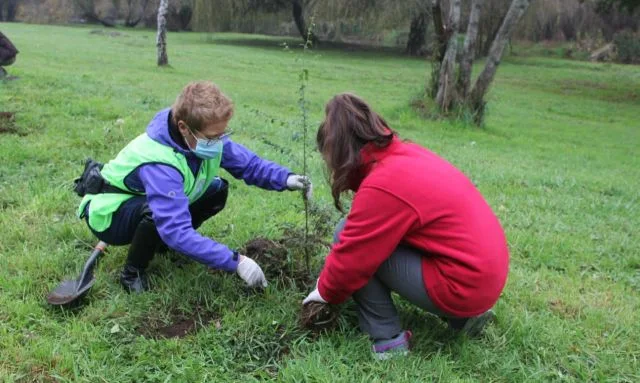 Plantan árboles en Parque Chuyaca