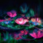 Abstract Flowers Wallpapers