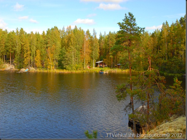 ötökät ikkunssa haukijärvi keloja 033