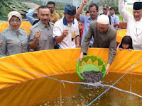 Santriwati Daar El Falah Diajarkan Budidaya Ikan Lele