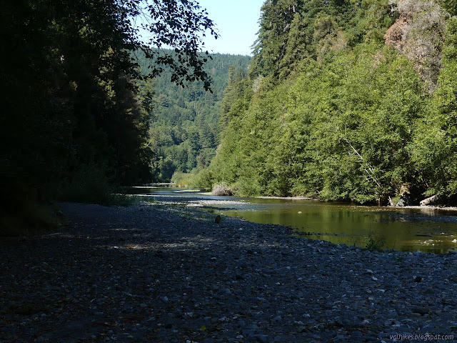 deer grazing the gravel beside Redwood Creek