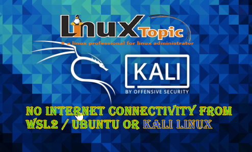 No internet connectivity from WSL2 Kali linux