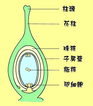 Biological Freak 科博館生命科學廳生命科學展場註解四之四08 19 18