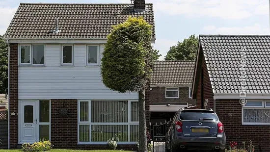 confusao vizinhos arvore podada metade inglaterra