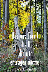 Was uns formt, sind die Dinge, die wir ertragen müssen.