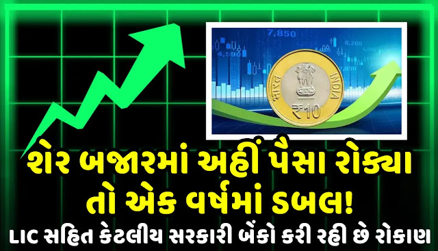 अगर इस स्टॉक में पैसा लगाते हैं तो एक साल में दोगुना !