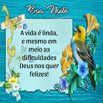 A vida é linda,  e mesmo em meio as dificuldades  Deus nos quer felizes!  Boa Noite!