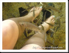 fishspa6