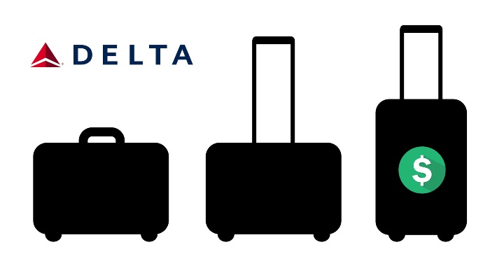 Delta airline baggage policy
