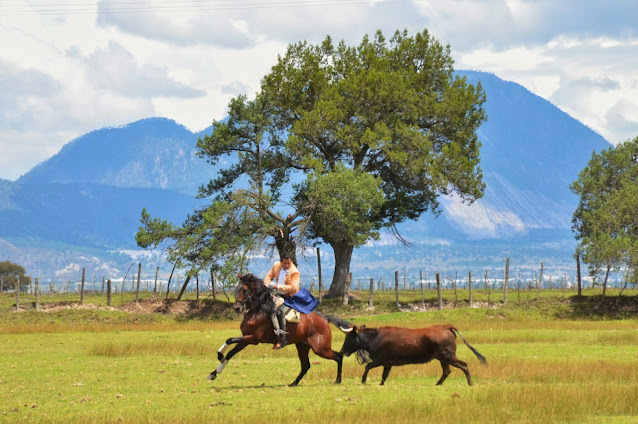 Cuauhtémoc Ayala a campo abierto en "Núñez del Olmo"