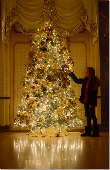 Ballroom Tree3