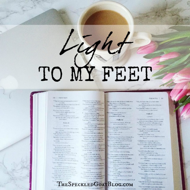 The Bible is clear- a light to my feet