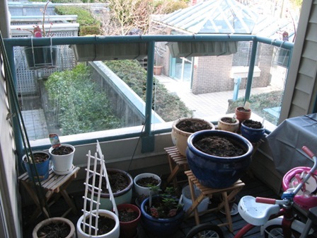 tidier garden