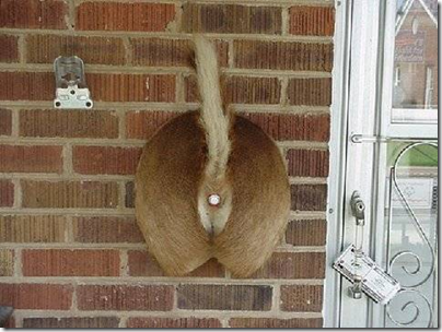 Redneck Doorbell