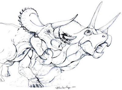 According to the location and shape of a hole in Big John's bony frill, it was made by another Triceratops attacking from behind, as depicted in this figure. R. D'ANASTASIO; R. D'ANASTASIO ET AL/SCIENTIFIC REPORTS 2022; R. D'ANASTASIO ET AL/SCIENTIFIC REPORTS 2022; R. D'ANASTASIO ET AL/SCIENTIFIC REPORT