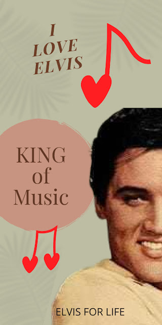 Artwork-immagine-elvis