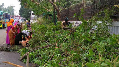 ঝড়ে প্রধানমন্ত্রীর কার্যালয়ের গাছ উপড়ে আহত ২