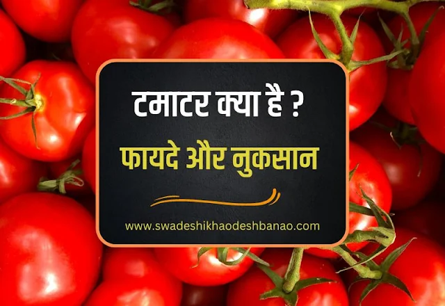About tomato in Hindi