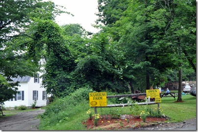 Vermont 2010 089