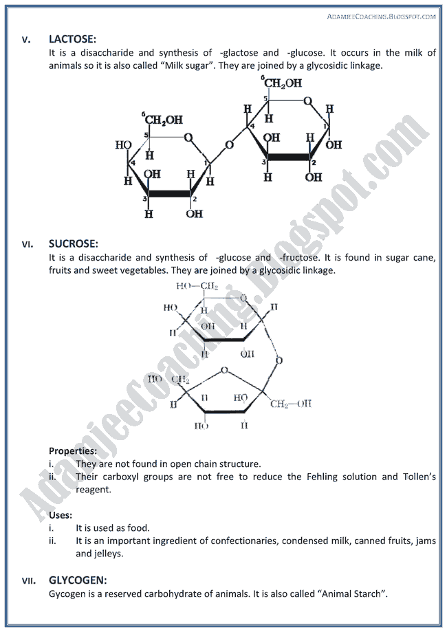 XII Chemistry Notes - Chemistry Of Life