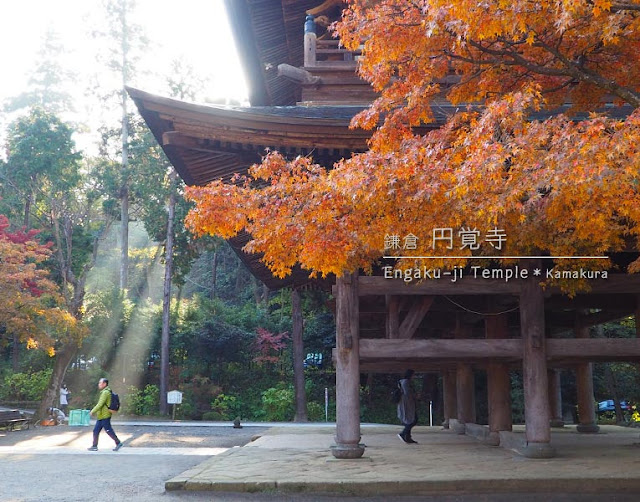 円覚寺･山門の紅葉