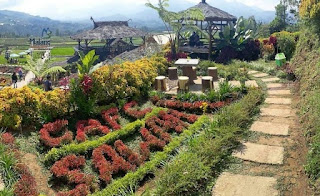 Cafe Sawah Pujon Kidul Malang, Ngopi Diatas Gunung