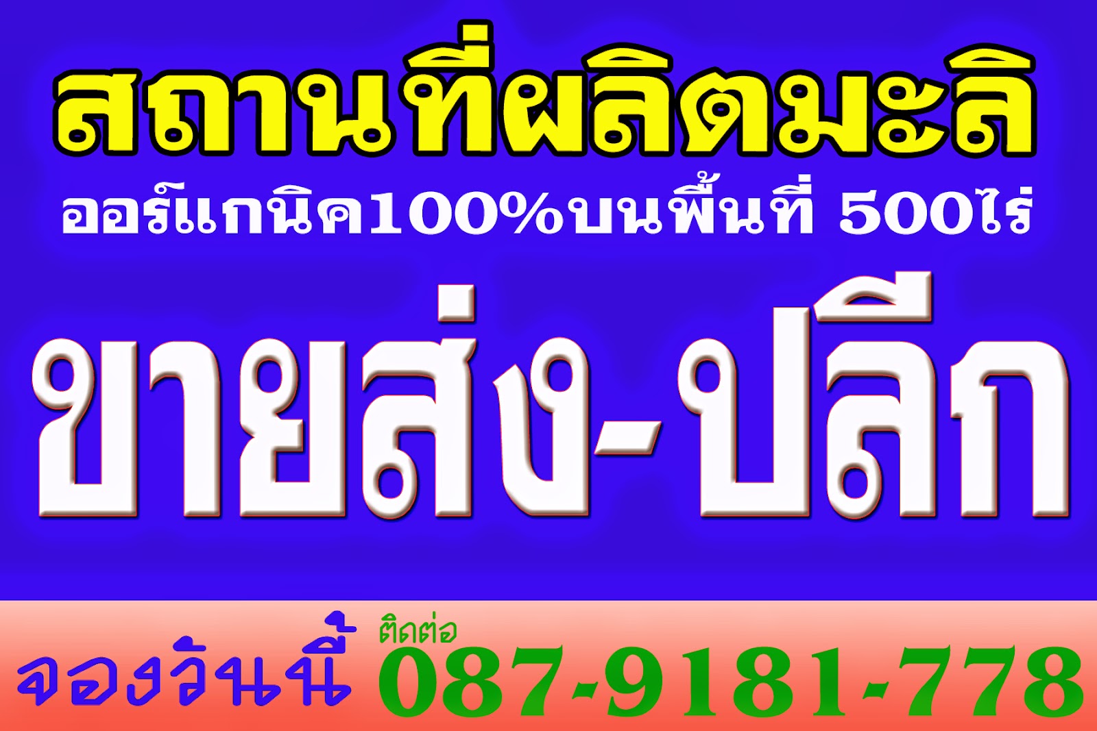 http://www.malidokraksingburi.blogspot.com
