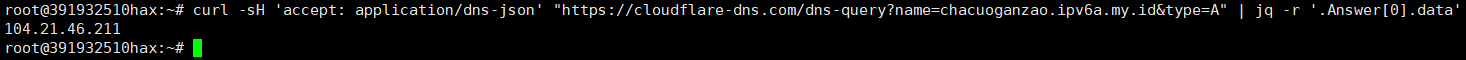 Check result of DNS resolution