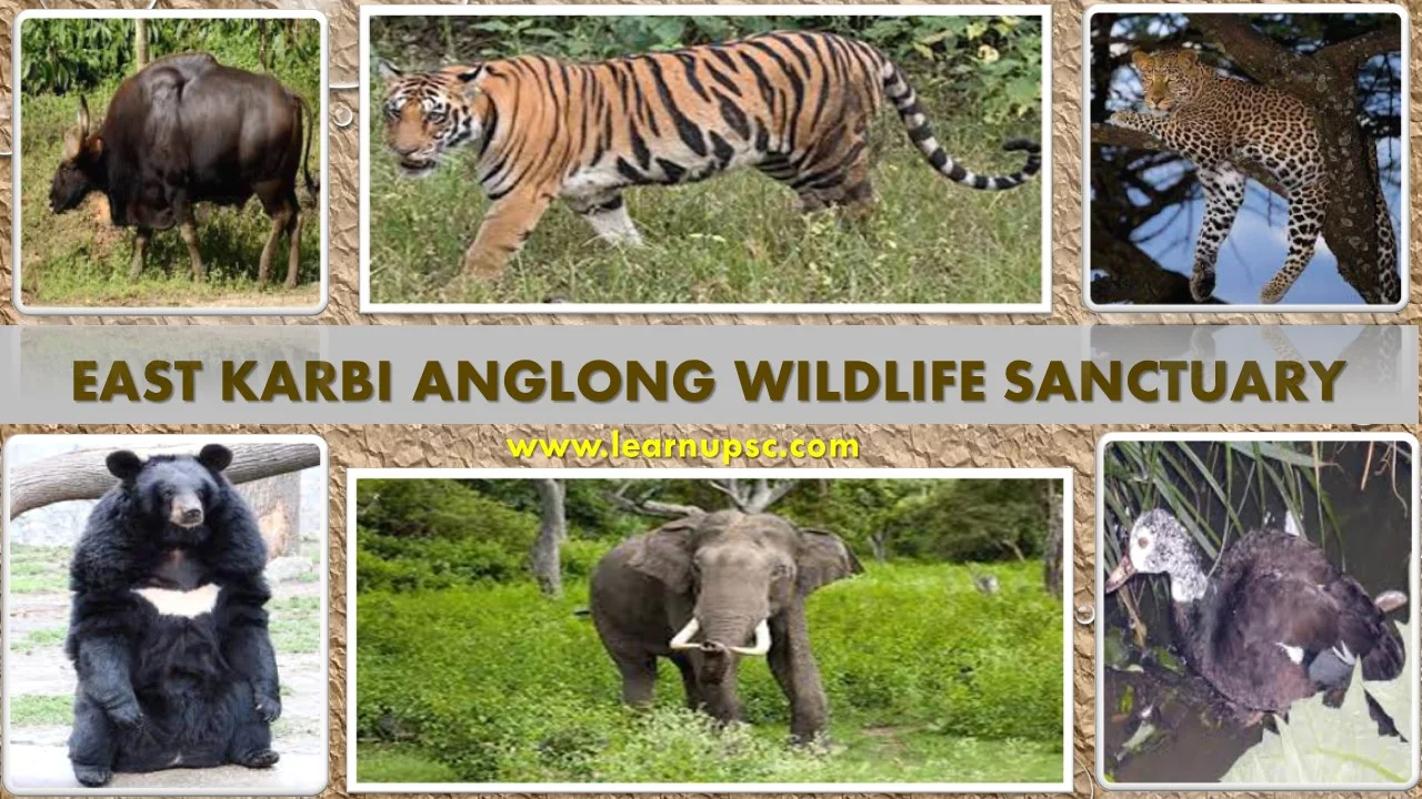 East Karbi Anglong Wildlife Sanctuary