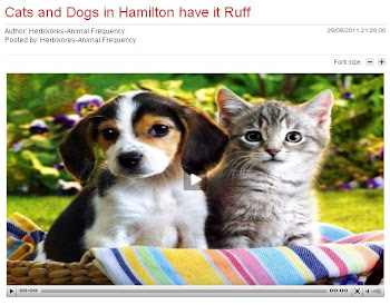 Ruff in Hamilton