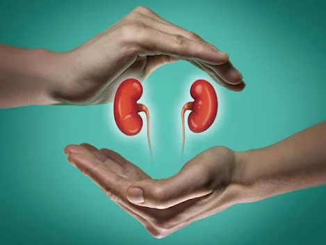 Foods to Avoid If You Have Bad Kidneys