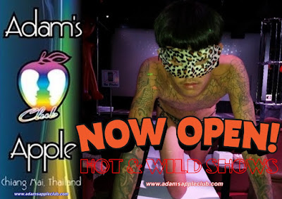 Hot and Wild Shows Adams Apple Gay Club Chiang Mai, Thailand