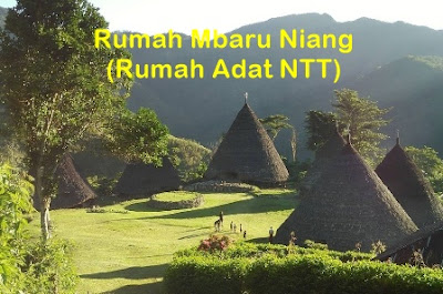 rumah adat ntt