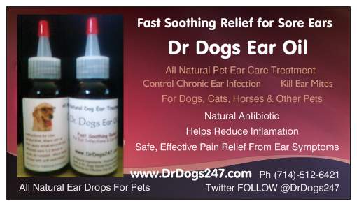 Dog Ear Remedy4