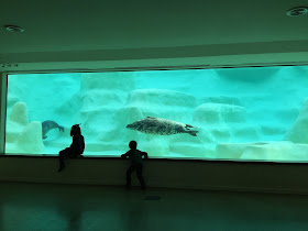 Aquarium de Biarritz