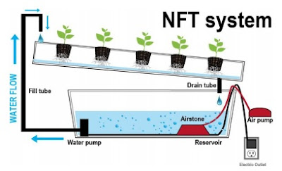 Sistem NFT (Nutrient Film Technique System)