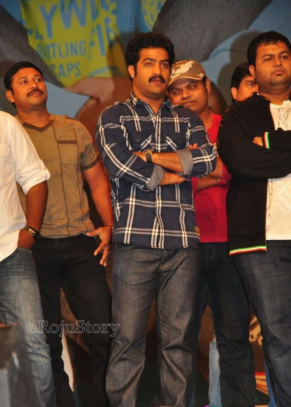 Brindavanam PLatinum Disk Function film pics