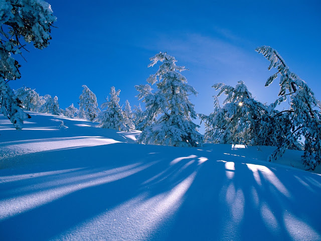 Wallpapers HD Winter