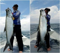 História de Pescador, Pescaria, Peixes, No de Pesca, Tarpon